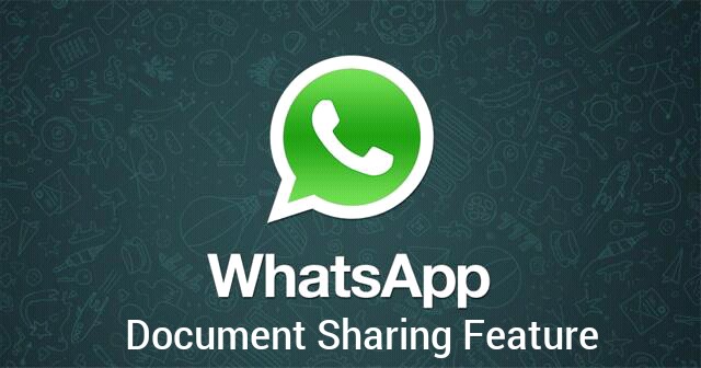 Whatsapp document sharing feature 