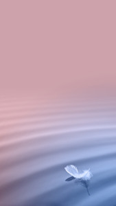 vivo Xplay5 wallpaper