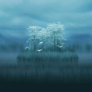 Huawei Mate 20 Wallpaper