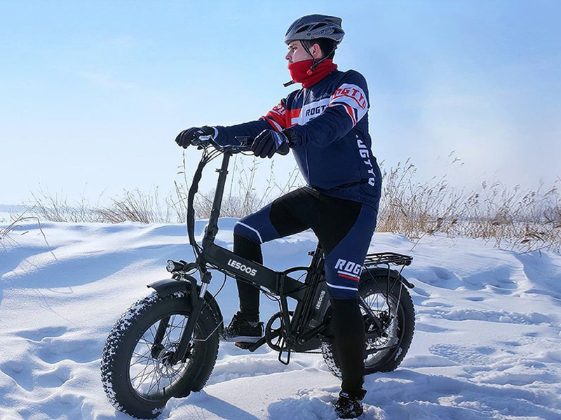 Lesoos FatSky Folding Electric Bike Review