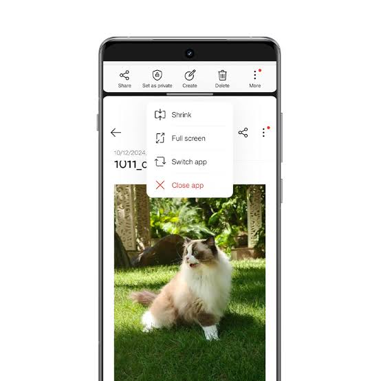 OxygenOS 15 Open Canvas